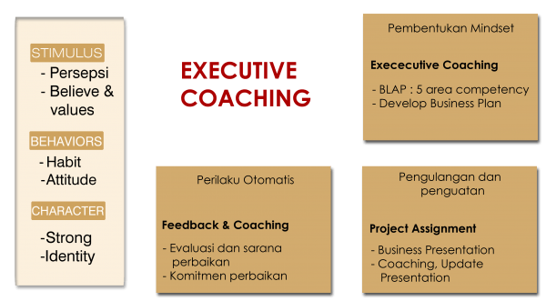 Executive Coaching - Proxsis HR